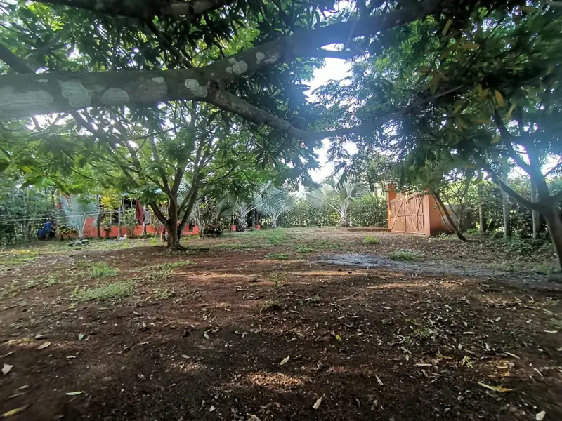 Open yard with a small wooden shed