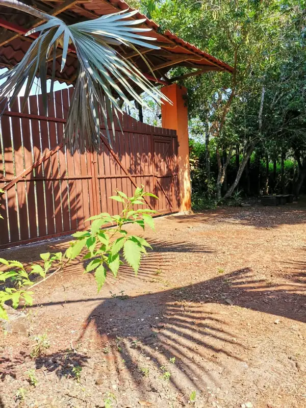 Gate and yard
