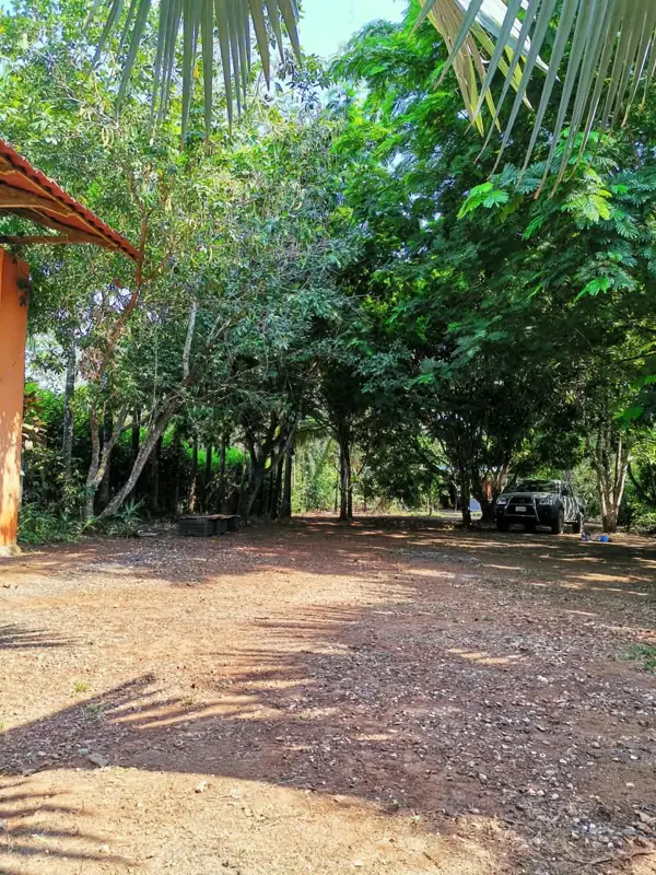 Open yard with room to park