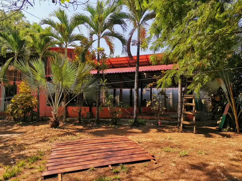 The main cabin among palms