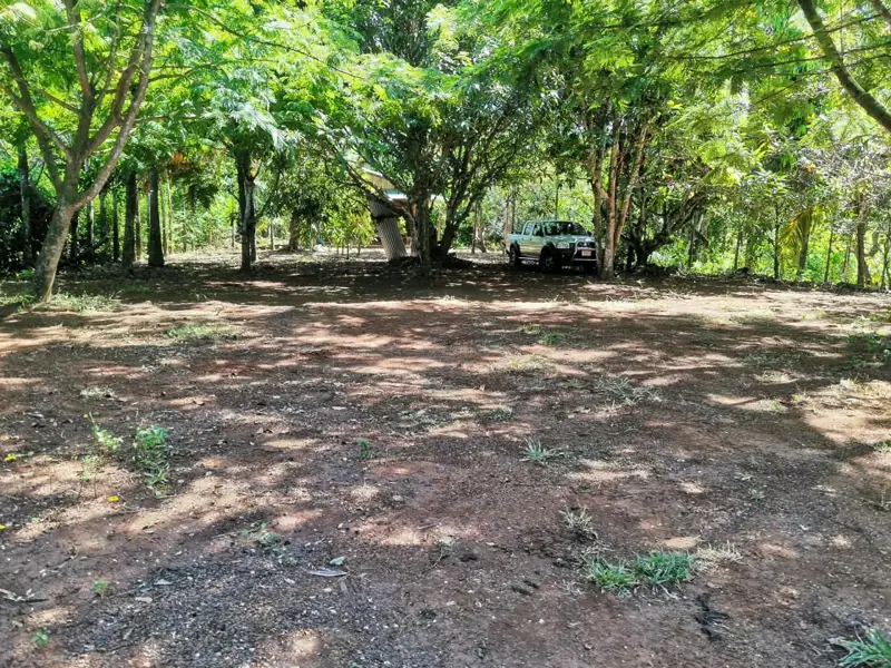 Open yard