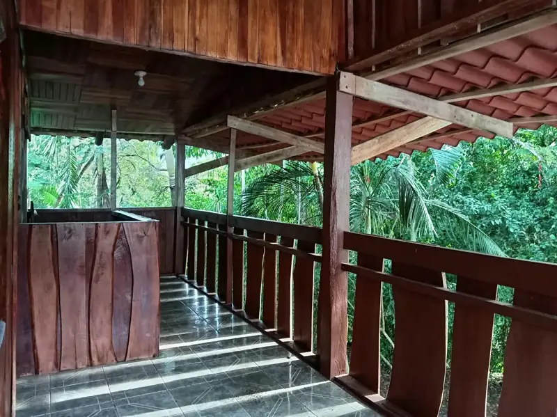 Upper balcony onto the trees