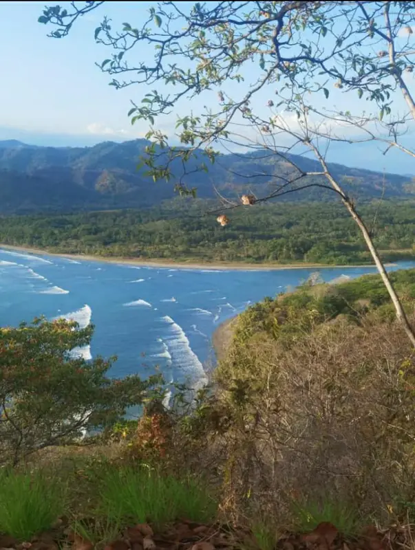 Lookout over the bay