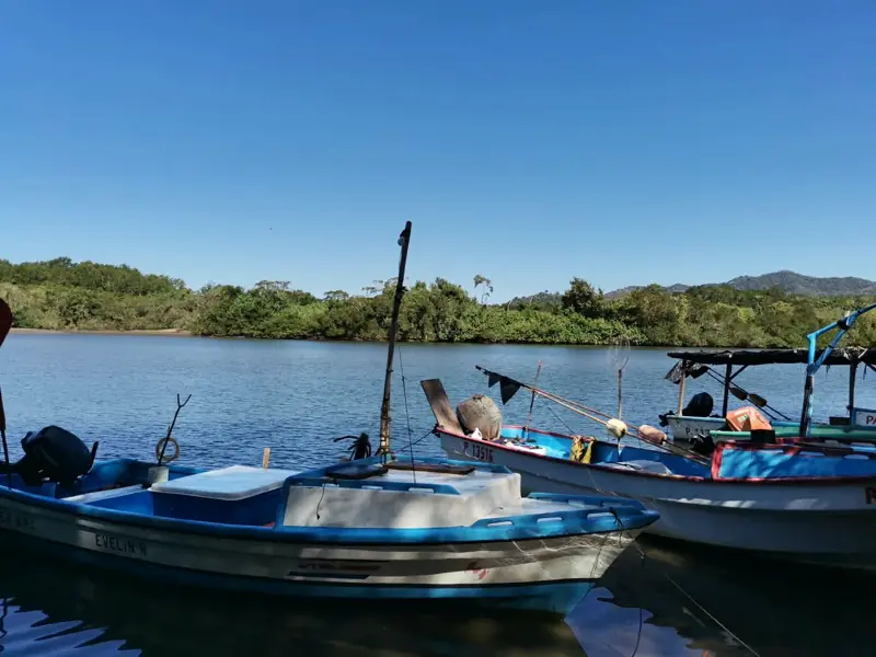 Fishing boats in the estuary