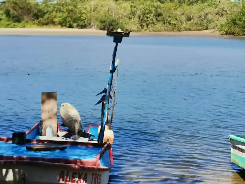 Small boat on the water