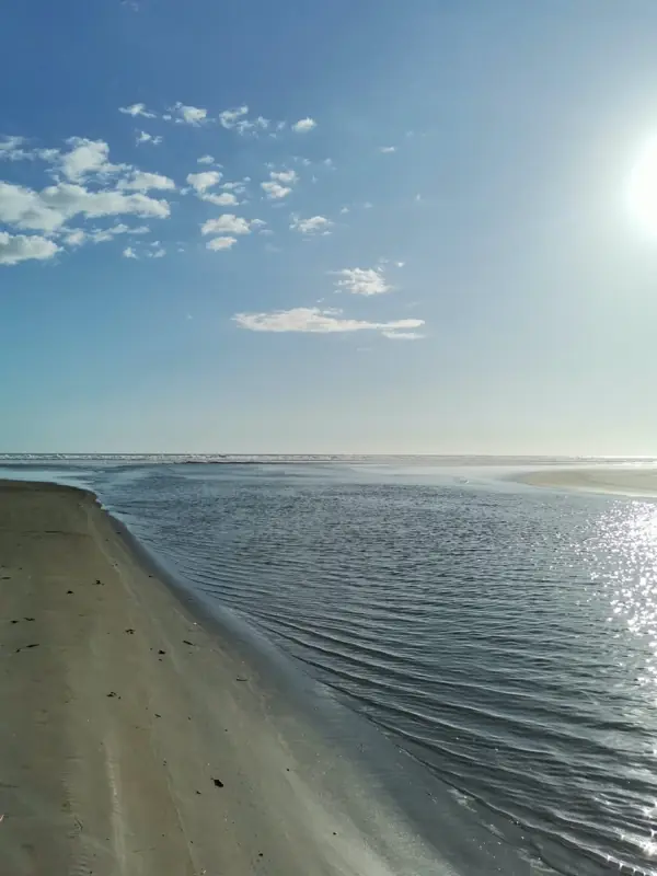 Shoreline at low tide
