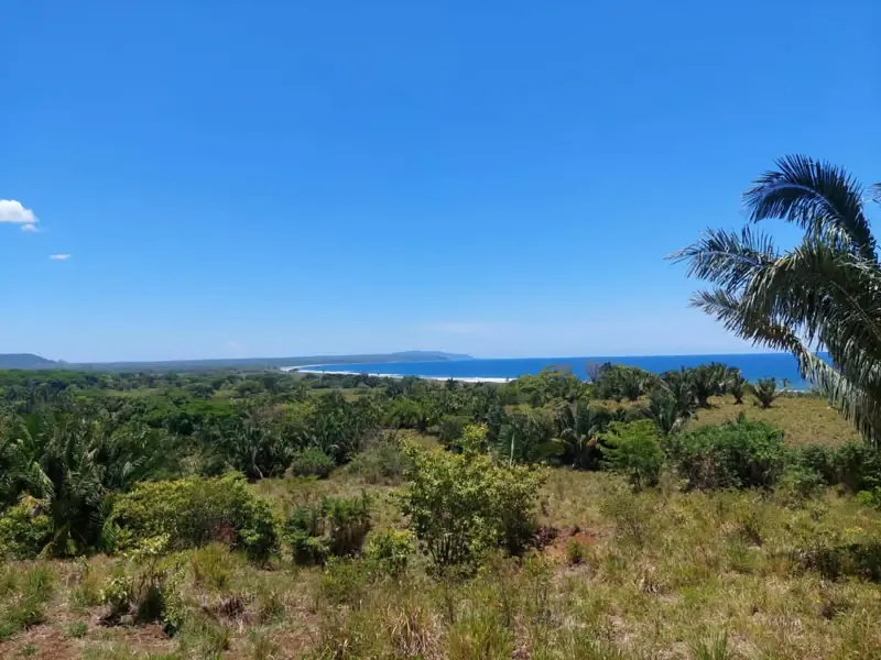 View toward the coast