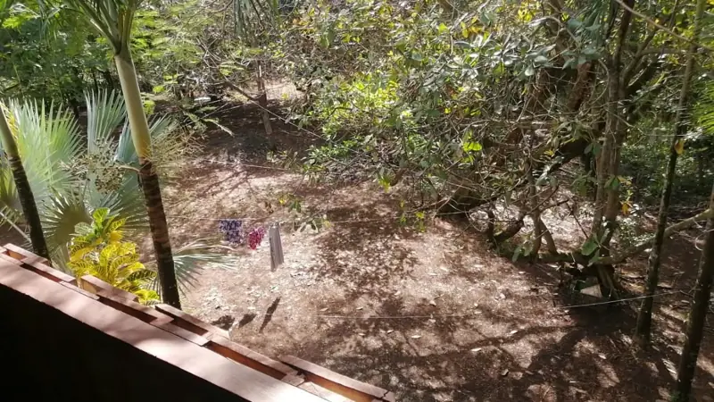 Yard seen from the balcony