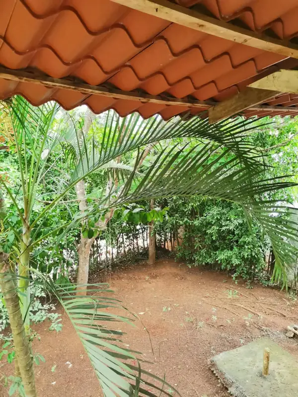 Side yard