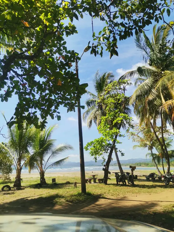 Beach seen through the trees