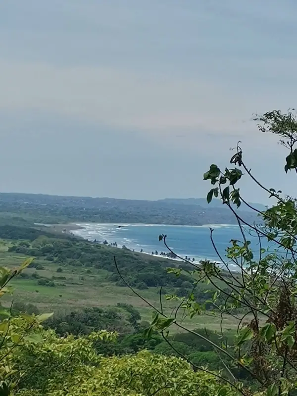 Valley and bay from the hills